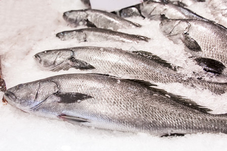 悉尼鱼市场上的鱼每天有52吨海鲜在这图片