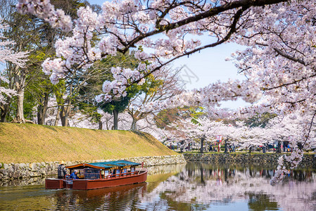 日本两岸种满樱花树的河流图片