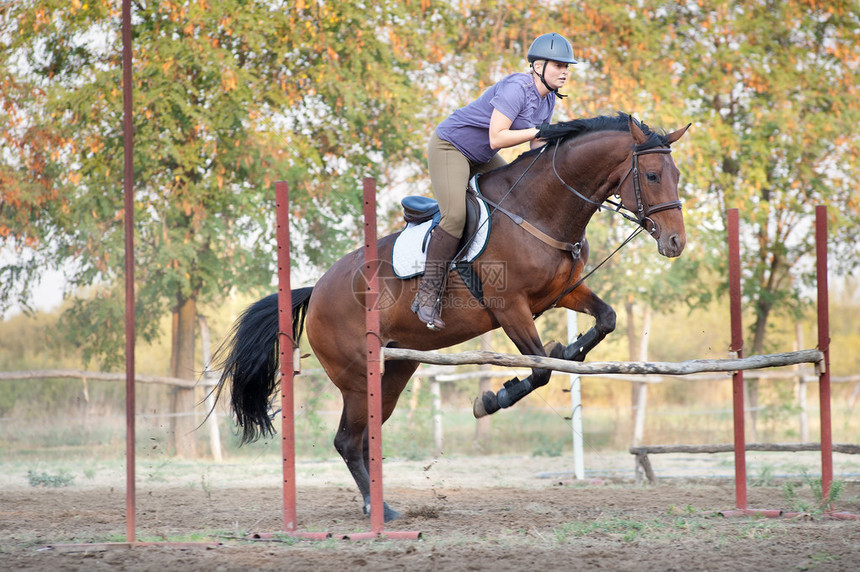Showjumpinggirl骑马和跳跃图片