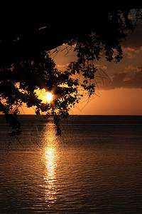 毛里求斯热带岛屿阿尔比翁公共海滩上的热带日落图片
