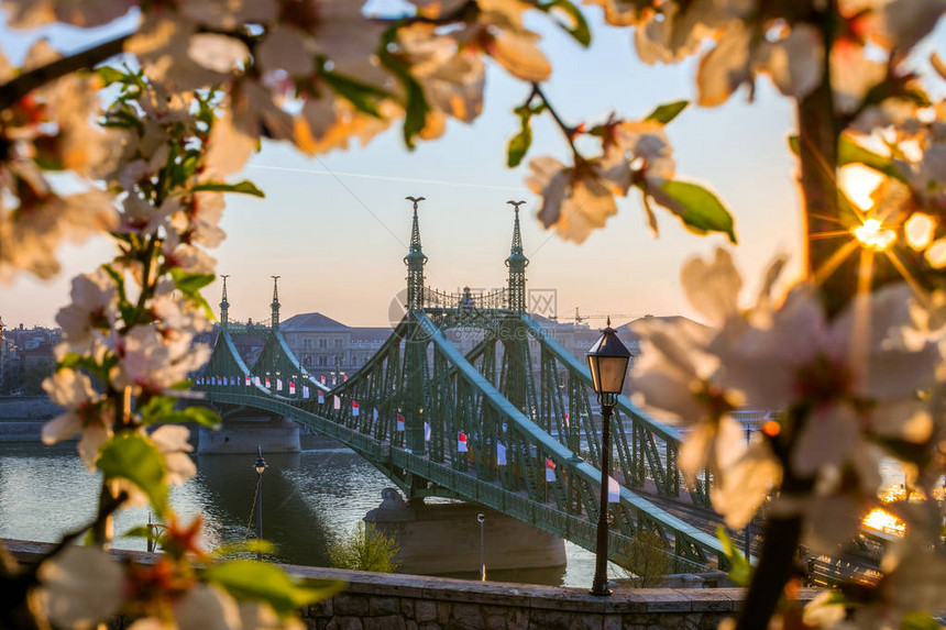 匈牙利布达佩斯日出时在美丽的自由桥周图片