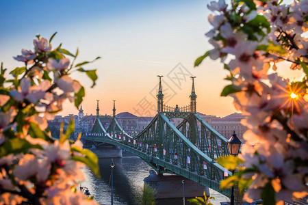 日出时美丽的自由桥图片