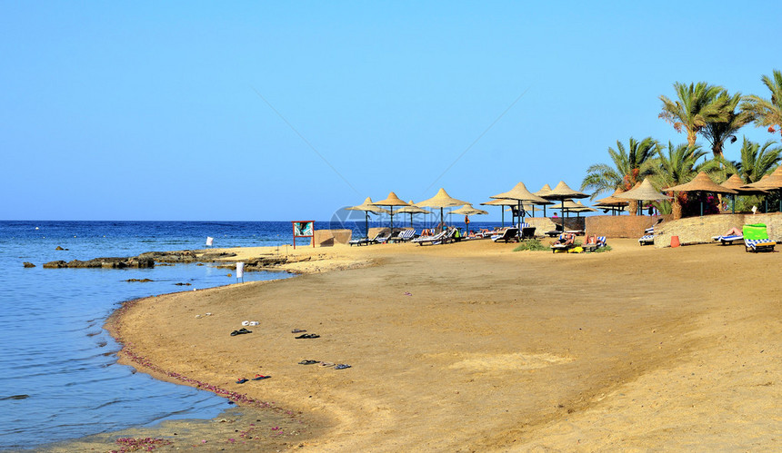 海滩和珊瑚礁马萨阿拉姆埃及图片