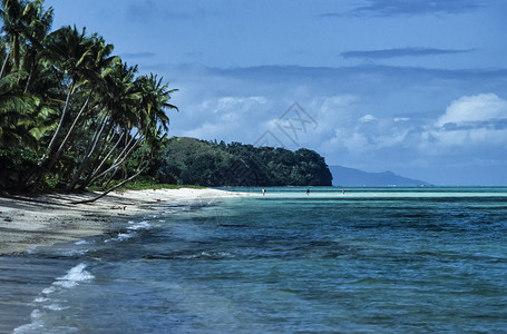 斐济群岛维提利武岛热带椰子树和在海滩上行走的人图片