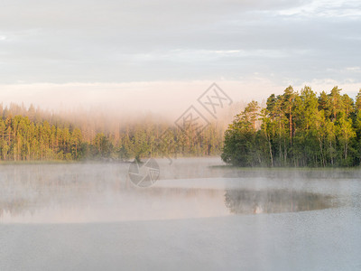 晨雾森林湖景观图片