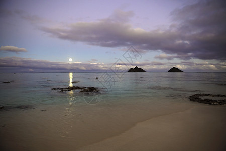 夏威夷热带月亮在宁图片
