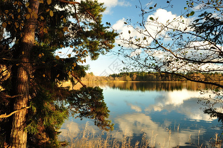 秋天的风景湖边的秋色图片