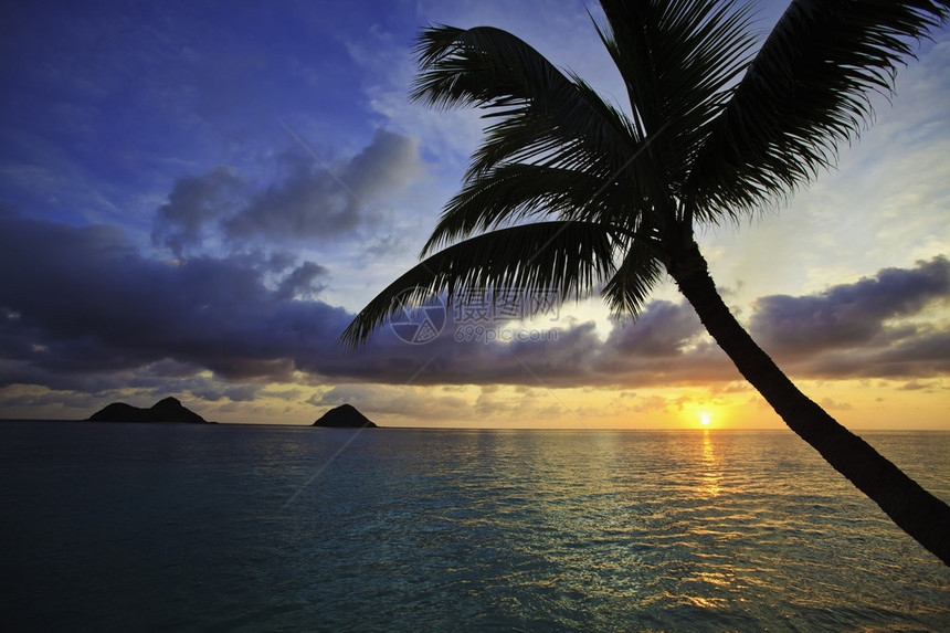哈瓦伊岛太平洋日出图片