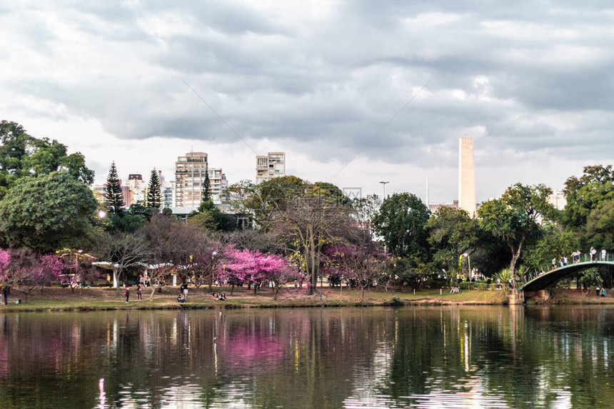 巴西圣保罗Ibirapuera公园图片