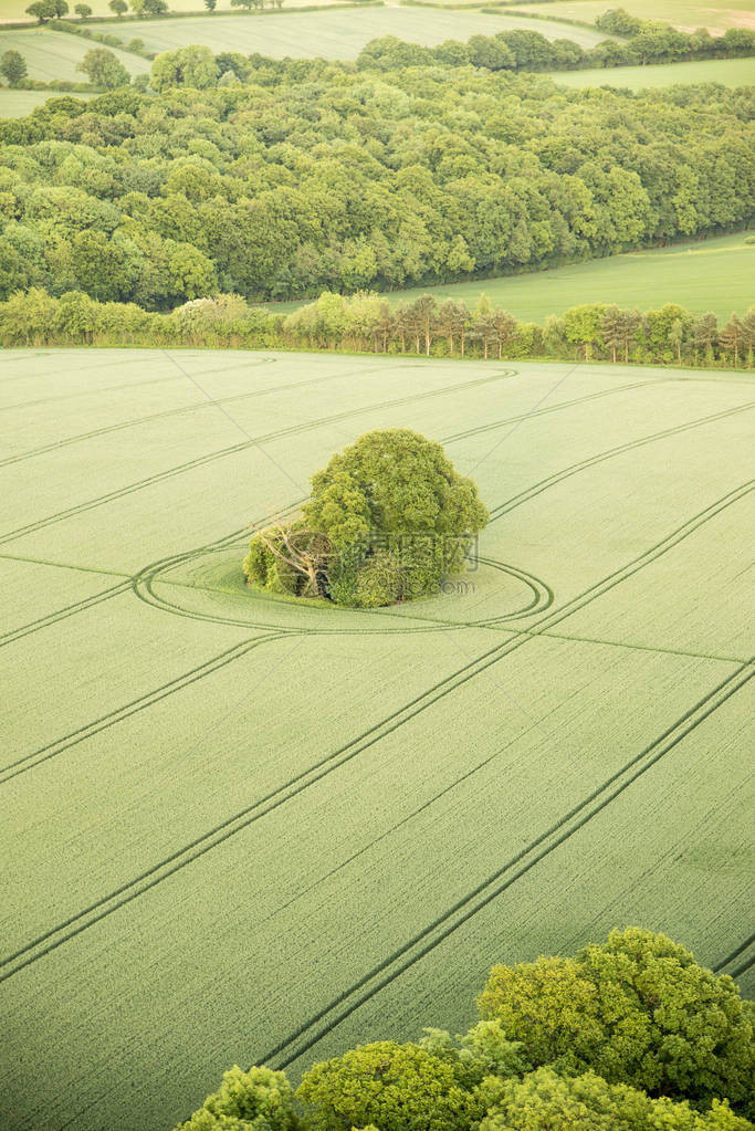 白金汉郡景观鸟瞰图英国热气球航拍图片