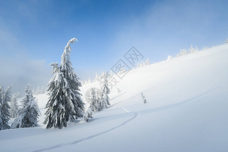 冬季山上徒步旅行阳光的天气与蓝天空和雾相伴风景与积雪图片