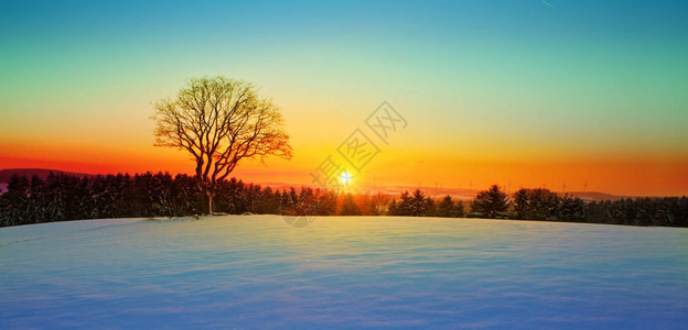 冬季雪圣诞节风景白日落在背景图片