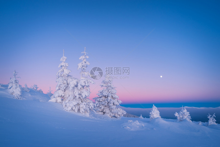 冬天风景早晨清的黄昏寒霜的早图片