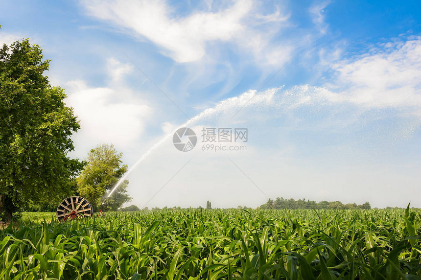 农业设备设备在玉米田上抽水图片