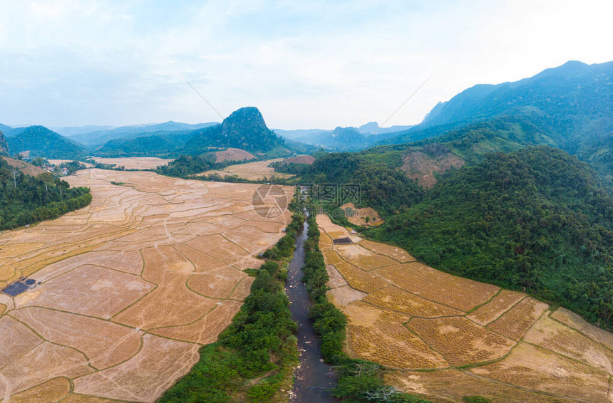 空中全景MuangNgoi老挝河谷黄熟稻田农业戏剧景观风景尖峰悬崖山脉东南亚著图片