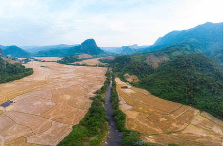 空中全景MuangNgoi老挝河谷黄熟稻田农业戏剧景观风景尖峰悬崖山脉东南亚著背景图片