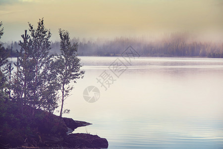 在宁静的湖上雾图片