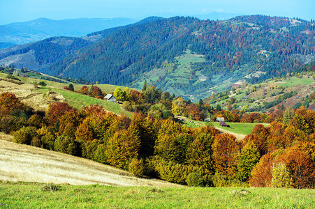 羊山森林中卡帕提山的美丽秋景背景