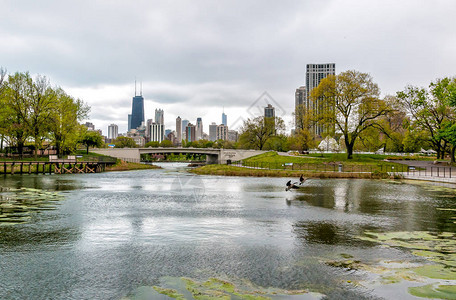 美国伊利诺伊州林肯公园动物园的芝加哥天际图片