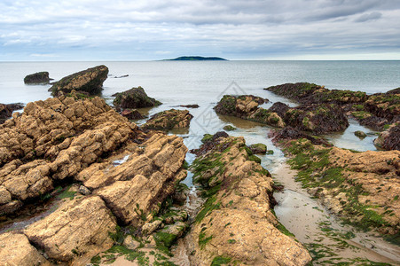 爱尔兰都柏林县Malahide岛爱尔兰海的岩石图片