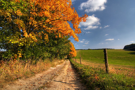 推车路和秋天风景秋天的颜图片