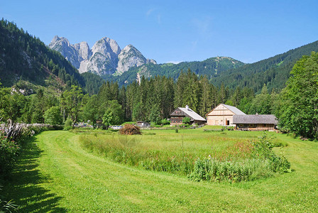 奥地利戈绍的山脉和草地图片