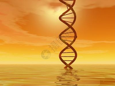 脱氧核糖DNA景观插画
