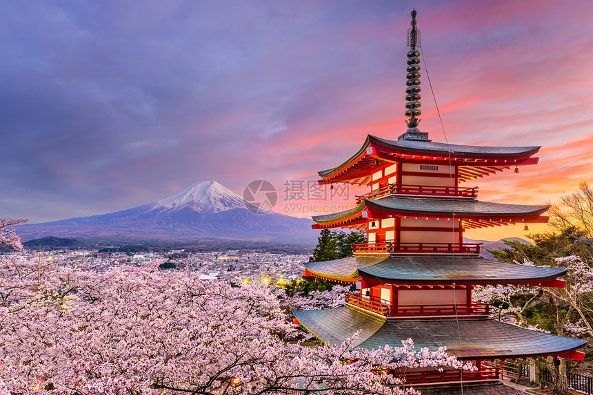 日本富士山和忠灵塔的春景图片