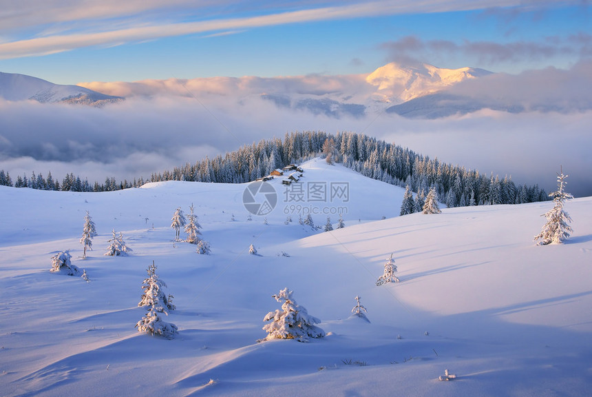 寒冷的早晨在山上草地上的牧羊人村树木和山丘上的新雪乌克兰图片