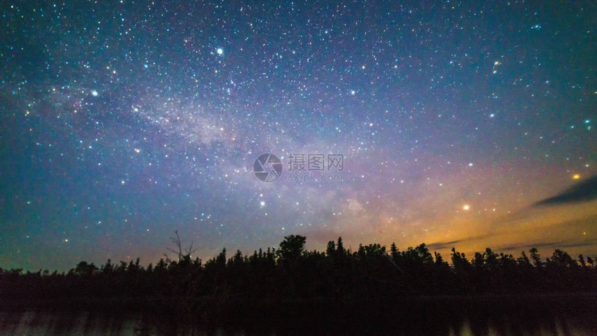 夜晚的银河和星在树上图片