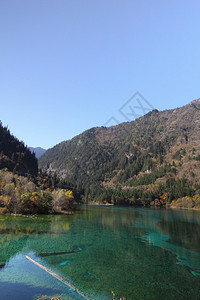 教科文组织世界遗产地点Jiuzhaigou山谷的湖背景图片