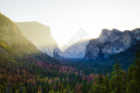 美国加利福尼亚州Yosemite公园图片