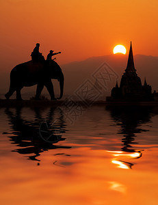 大象游人在泰国图片