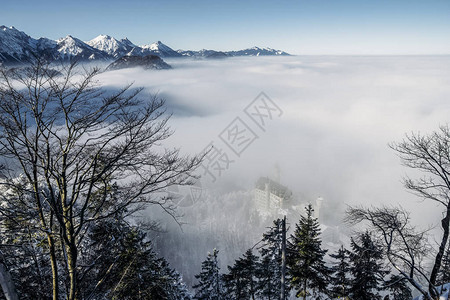 德国纽施旺斯坦城堡附近的雾中图片
