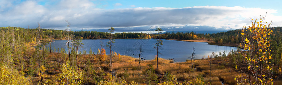 苔原上的小湖秋天的图片