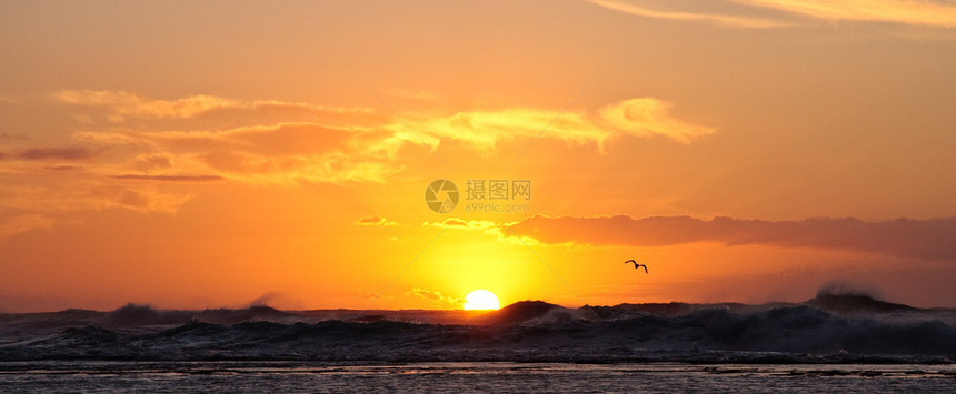 鸟儿在日落时在暴风雨的大海上俯冲图片