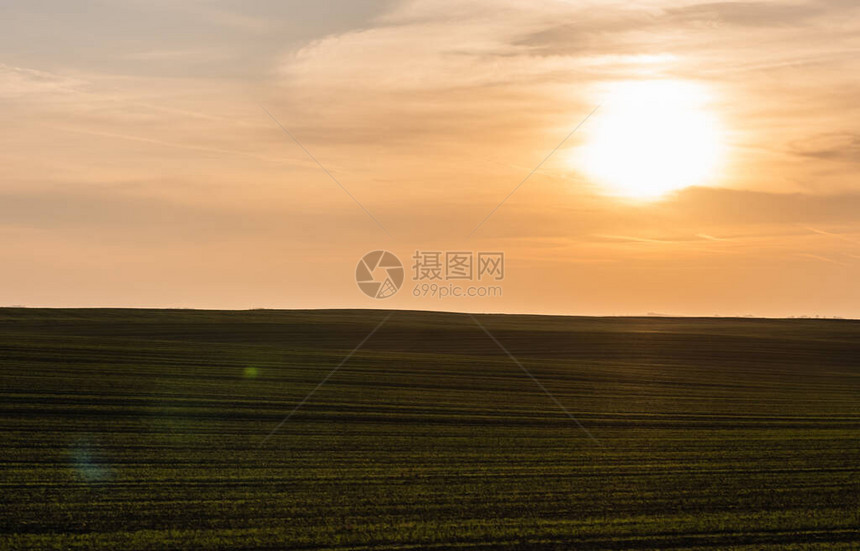 乌克兰夕阳下修剪过的田野风景图片