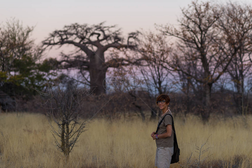 日落时在纳米比亚布希曼德兰的丛林和阿卡西亚树林中行走的旅游者图片