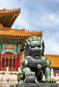 北京紫禁城最高和谐厅前的青红狮门前背景图片
