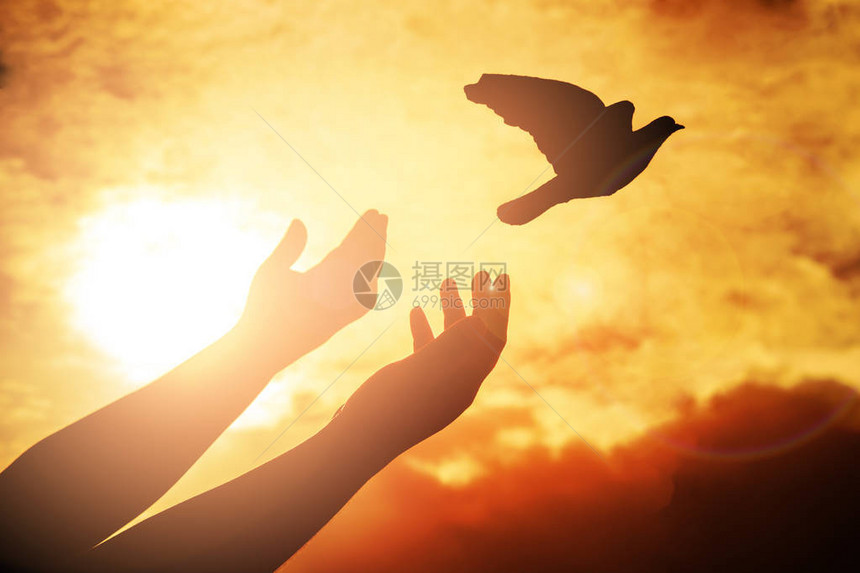 人祈祷和自由鸟在日落背景下享受大自然图片