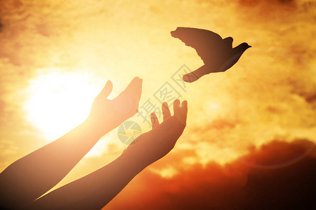 人祈祷和自由鸟在日落背景下享受大自然背景图片