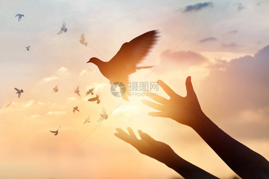 女人祈祷解放鸟儿在日落下飞图片