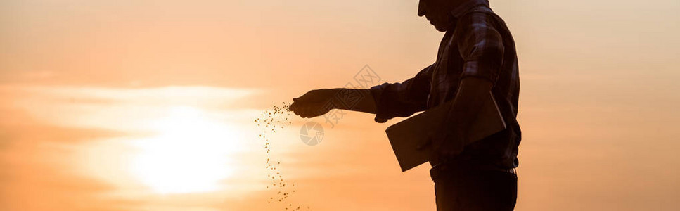 日落时农民播种图片