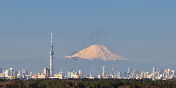 东京城市景观与东京天空树和富士山图片