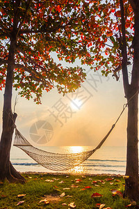 日出时靠近海滩和海边的Hammoc图片