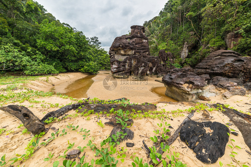 马来西亚婆罗洲西沙捞越巴科公园的后水图片