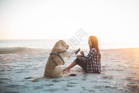 日落时在沙滩上和狗玩耍的女孩图片