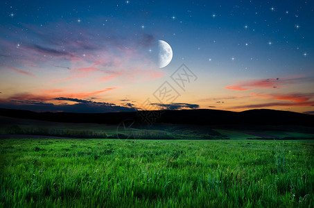 美丽的夜间野外背景图片