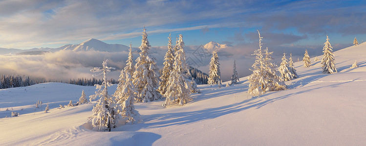 圣诞节风景冬季全景图片
