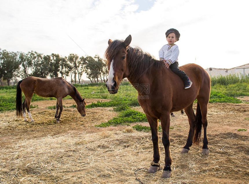 马背上身着传统服饰的小男孩图片